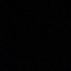 Meet your Posher, Harlee